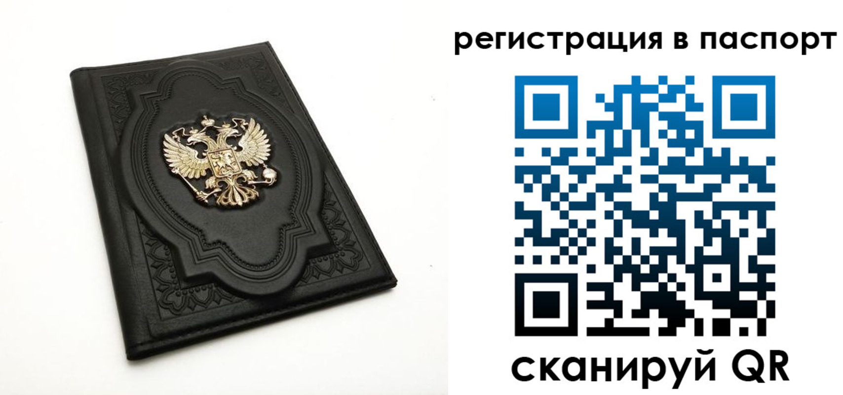 прописка регистрация в Вологодской области